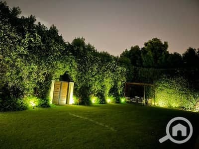 4 Bedroom Villa for Rent in Madinaty, Cairo - WhatsApp Image 2025-05-27 at 12.09. 28 PM (1). jpeg