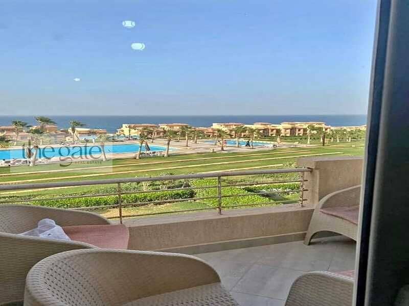 4 تلال546. jpg