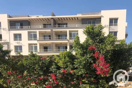فلیٹ 3 غرف نوم للبيع في القاهرة الجديدة، القاهرة - 1e1f7c10-85dc-4d92-bfae-023d11658ab9. jpeg