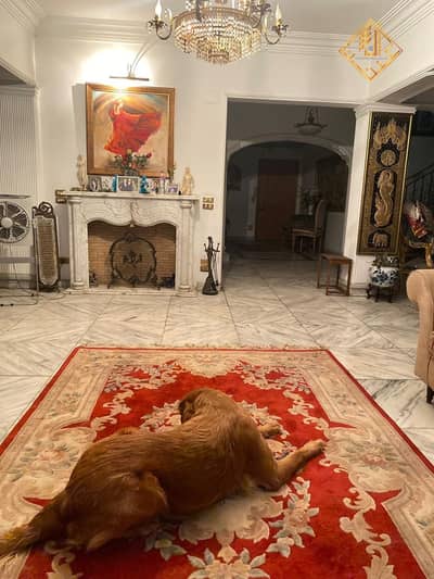 4 Bedroom Apartment for Sale in Mohandessin, Giza - WhatsApp Image 2025-05-27 at 14.39. 15. jpeg