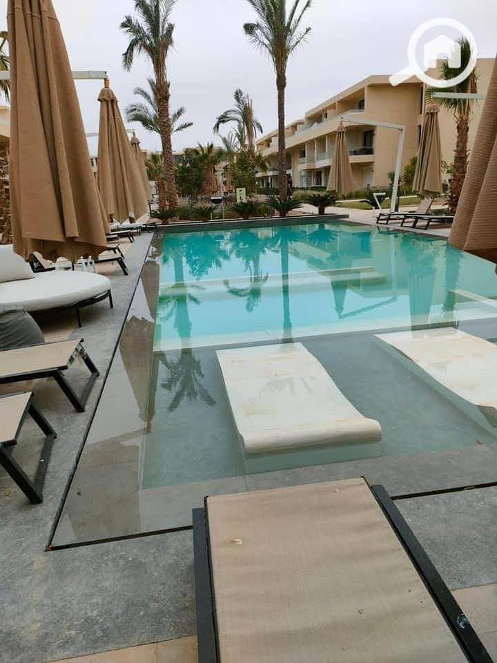 8 الجونة el gouna (87). jpeg