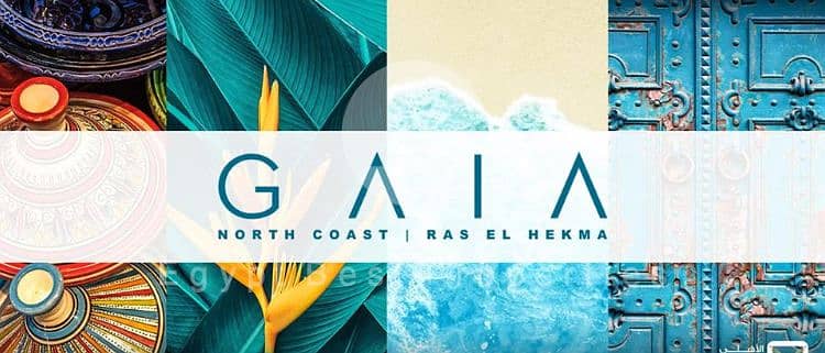 10 Gaia-North-Coast-Sabbour. jpeg