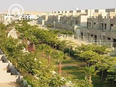 5 Bedroom Villa for Rent in New Cairo, Cairo - download - 2024-06-12T114100.066. jpg