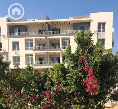 شقة 3 غرف نوم للبيع في القاهرة الجديدة، القاهرة - WhatsApp Image 2025-03-18 at 1.17. 28 PM (3). jpeg