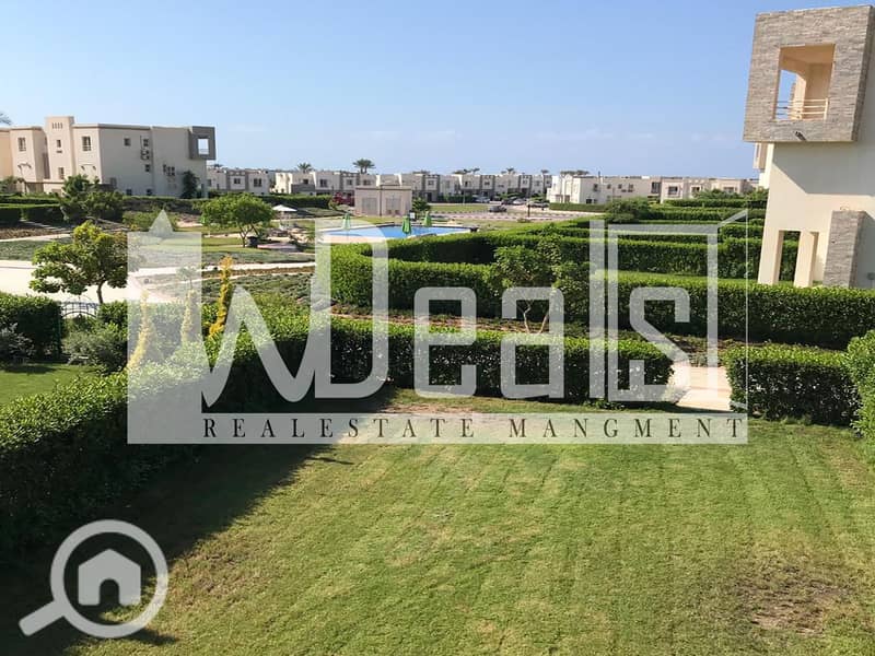 fece92d2-56ca-4552-990f-d8153a6c1eb5. jpg fece92d2-56ca-4552-990f-d8153a6c1eb5. jpg