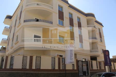 3 Bedroom Apartment for Sale in New Cairo, Cairo - WhatsApp Image 2025-05-28 at 14.32. 57_08a8660c. jpg