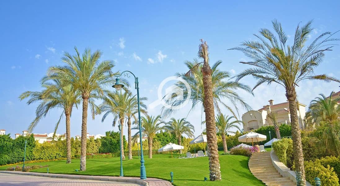 10 The-Best-Neighborhoods-in-Sheikh-Zayed-1-1280x700. jpg
