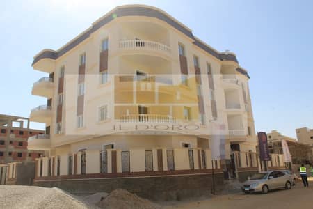 3 Bedroom Flat for Sale in New Cairo, Cairo - WhatsApp Image 2025-05-28 at 14.41. 14_b6f5da4a. jpg