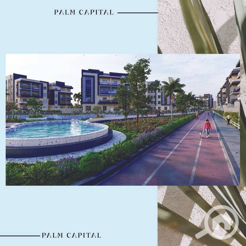 9 PALM CAPITAL CATALOGUE WITH HOTLINE V2_Page_22. jpg