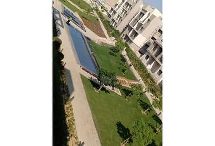 3 Bedroom Flat for Sale in New Cairo, Cairo - 51d748b2-df26-11ef-a651-ba60a6e2de41-b89d7520-1ad1-42b3-9216-89d6743e0f2b. png