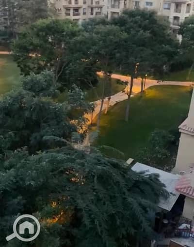 3 Bedroom Flat for Sale in Madinaty, Cairo - WhatsApp Image 2025-05-29 at 1.53. 24 PM. jpeg