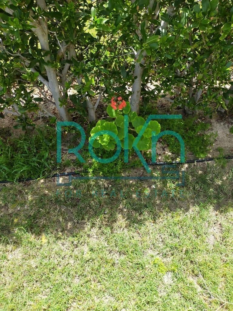 14 dc937a12-1dbe-4464-b0c2-fdc546c90eab. jpeg