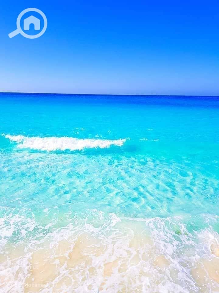 3 347565929_6166651136757111_8386381722309390420_n. jpg