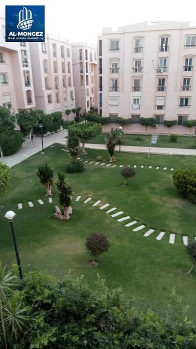 3 Bedroom Flat for Rent in New Cairo, Cairo - IMG-20250529-WA0168. jpg