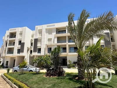 3 Bedroom Flat for Sale in Heliopolis, Cairo - 443695589_1004664571024835_2041285634331465468_n. jpg