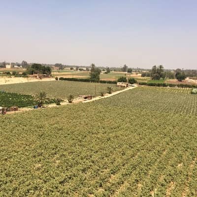 فیلا 4 غرف نوم للبيع في المنصورية، الجيزة - villa in Mansourria  -السعر الإجمالي   ٧ مليون فيلا بالمنصورية ،