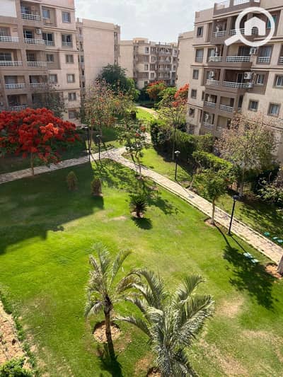 3 Bedroom Apartment for Sale in Madinaty, Cairo - WhatsApp Image 2025-05-31 at 12.19. 11 PM (3). jpeg