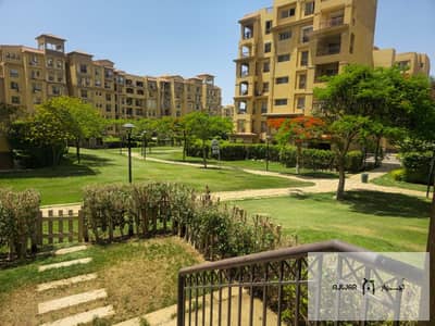 3 Bedroom Flat for Sale in Madinaty, Cairo - WhatsApp Image 2025-05-28 at 12.33. 01 PM. jpeg