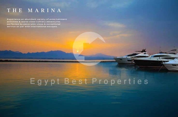 5 IMG-20250210-WA0388. jpg