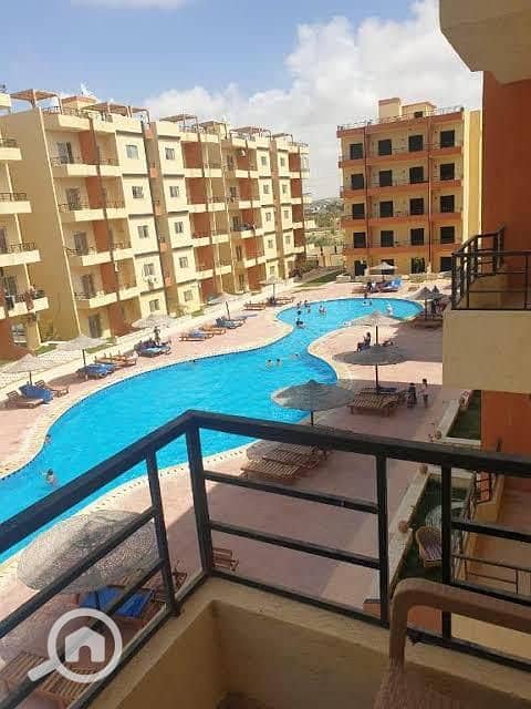 6 WhatsApp Image 2025-06-01 at 2.36. 35 AM. jpeg