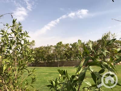فیلا 5 غرف نوم للايجار في القاهرة الجديدة، القاهرة - WhatsApp Image 2024-12-10 at 5.39. 32 PM (1). jpeg