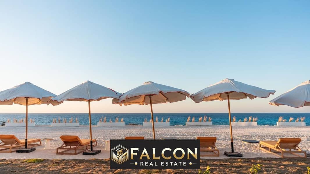 7 WhatsApp Image 2025-05-07 at 16.46. 20_08695c62. jpg