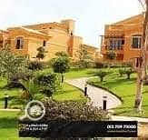 6 ديار. jpg