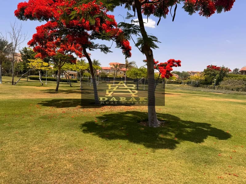 7 TREES. jpeg