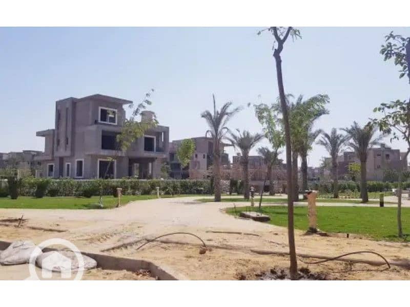 11 New Giza 11. jpg