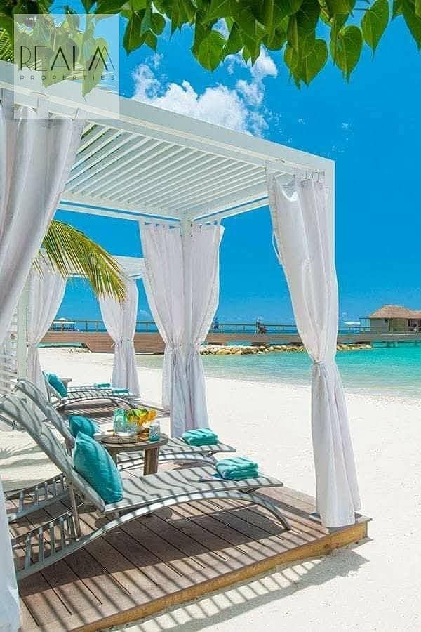 5 495374195_2332374027145273_7029716170380338578_n. jpg