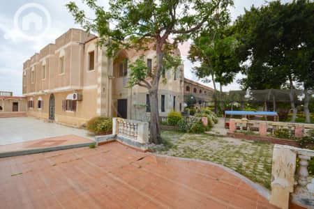 عقار سكني آخر 7 غرف نوم للبيع في العامرية، الإسكندرية - DSC_0109. jpg
