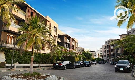 10 Zayed Dunes 1. jpg