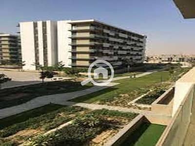 فلیٹ 2 غرفة نوم للبيع في مدينة الشروق، القاهرة - 78b04d2c-2665-11ef-98c9-86c5f414f289. jpg