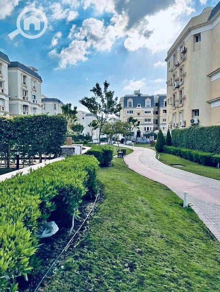 7 453117336_513964524315145_7688378579313288087_n. jpg