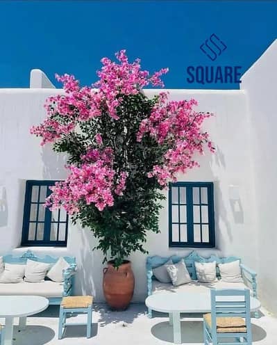 شاليه 3 غرف نوم للبيع في الساحل الشمالي، مطروح - 25891302-800x600. jpg