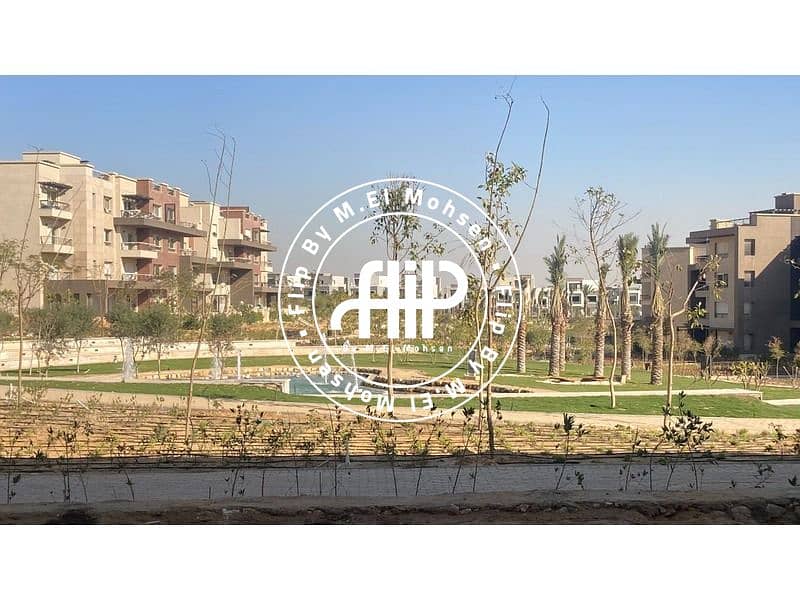 WhatsApp Image 2025-04-06 at 12.26. 18. jpeg WhatsApp Image 2025-04-06 at 12.26. 18. jpeg