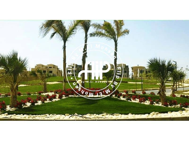 9 Palm-Hills-Bamboo-01. png