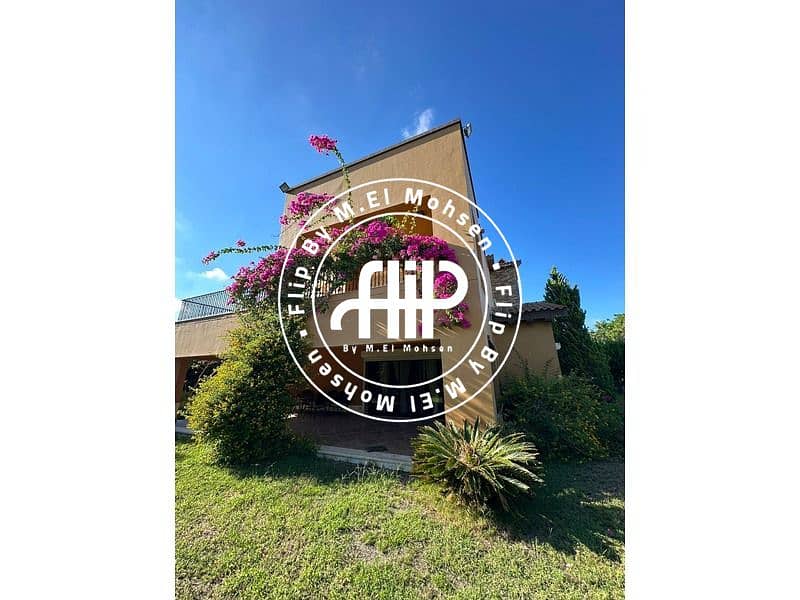 5 WhatsApp Image 2025-04-06 at 12.58. 34. jpeg