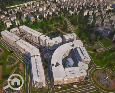 3 Bedroom Apartment for Sale in Smoha, Alexandria - IMG-20250519-WA0081. jpg
