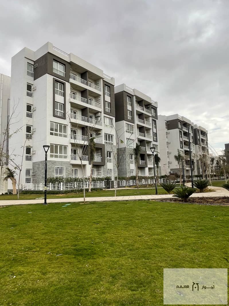 13 WhatsApp Image 2025-04-14 at 2.20. 49 PM. jpeg