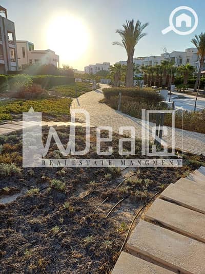 شاليه 2 غرفة نوم للايجار في الساحل الشمالي، مطروح - WhatsApp Image 2025-06-01 at 9.51. 02 PM (1). jpg