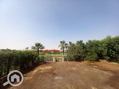 فیلا 3 غرف نوم للبيع في مدينتي، القاهرة - c084660b-5c95-42f3-9f3b-ca1b2c009f41. jpeg