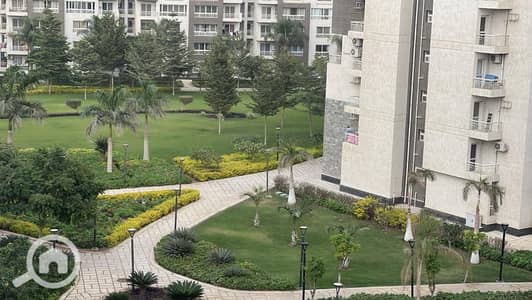 3 Bedroom Flat for Sale in Madinaty, Cairo - WhatsApp Image 2025-06-02 at 17.31. 35_745ab9a7. jpg