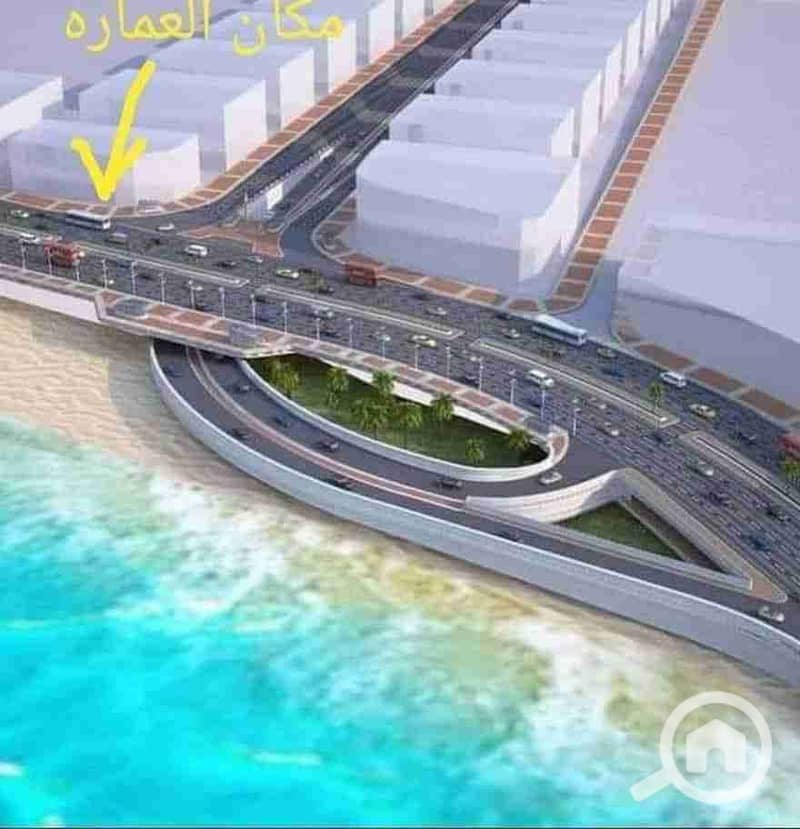 3 1000504778. jpg