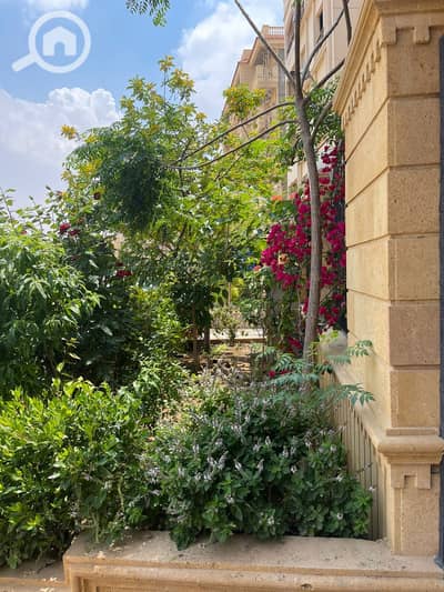فلیٹ 3 غرف نوم للايجار في القاهرة الجديدة، القاهرة - WhatsApp Image 2025-06-01 at 10.30. 39 PM. jpeg