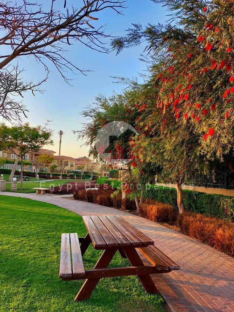 11 صورة واتساب بتاريخ 1446-11-20 في 11.49. 10_d2311dcb. jpg