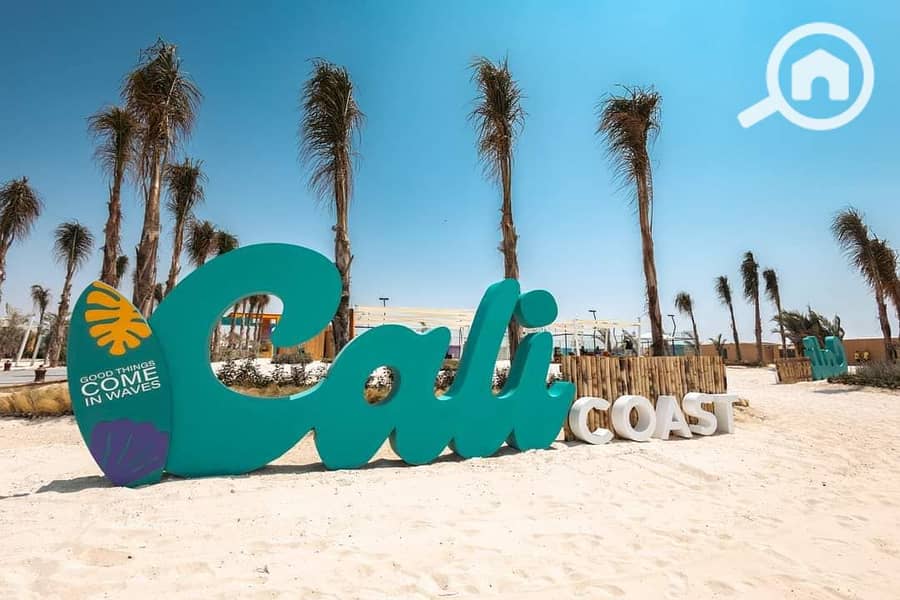 7 366274376_138466582635107_9013688202470588233_n. jpg