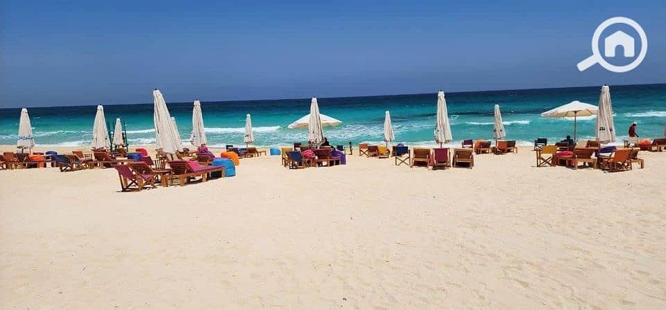 12 498186818_4325729170987771_2847573893011969310_n - Copy (2). jpg