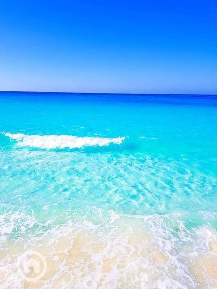 3 347565929_6166651136757111_8386381722309390420_n. jpg