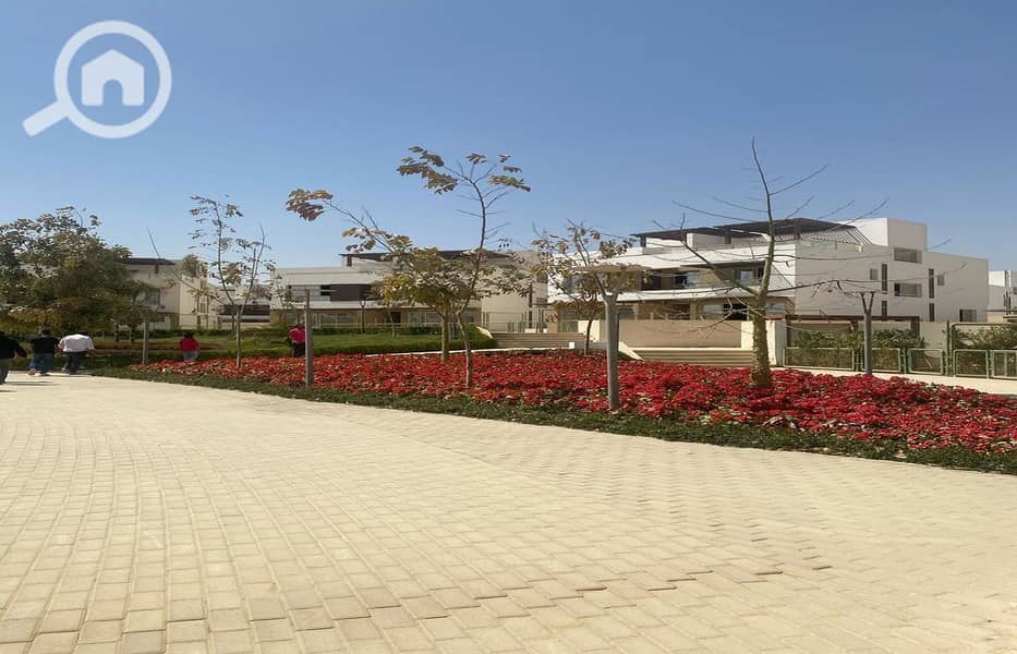 3 7fbd7b15-1e14-4868-aea4-7e4444c51040_1400x900. jpg